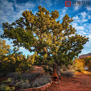 好爽⋯好紧⋯sao货别夹
